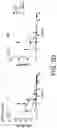 Fig. 08 - POLYNUCLEOTIDE SECONDARY STRUCTURE