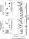 Fig. 11 - POLYNUCLEOTIDE SECONDARY STRUCTURE