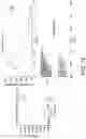 Fig. 16 - POLYNUCLEOTIDE SECONDARY STRUCTURE