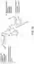 Fig. 19 - POLYNUCLEOTIDE SECONDARY STRUCTURE