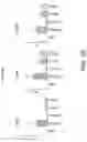 Fig. 28 - POLYNUCLEOTIDE SECONDARY STRUCTURE