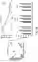 Fig. 29 - POLYNUCLEOTIDE SECONDARY STRUCTURE
