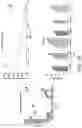 Fig. 31 - POLYNUCLEOTIDE SECONDARY STRUCTURE