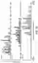 Fig. 33 - POLYNUCLEOTIDE SECONDARY STRUCTURE