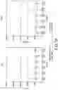 Fig. 37 - POLYNUCLEOTIDE SECONDARY STRUCTURE