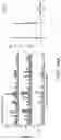 Fig. 49 - POLYNUCLEOTIDE SECONDARY STRUCTURE