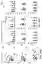Fig. 50 - POLYNUCLEOTIDE SECONDARY STRUCTURE