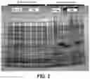 Fig. 03 - Protein expression method
