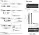Fig. 46 - CRISPR-CAS COMPONENT SYSTEMS, METHODS AND COMPOSITIONS FOR SEQUENCE MANIPULATION