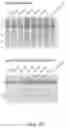 Fig. 83 - CRISPR-CAS COMPONENT SYSTEMS, METHODS AND COMPOSITIONS FOR SEQUENCE MANIPULATION