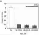 Fig. 08 - Methods for improving callus formation and regeneration in plants
