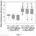 Fig. 02 - Methods of improving mycorrhization in plants and genetically modifed plants with improved mycorrhization