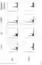 Fig. 28 - Somatic haploid human cell line