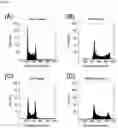 Fig. 33 - Somatic haploid human cell line