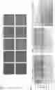 Fig. 09 - Methods and products for expressing proteins in cells