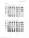 Fig. 10 - Methods and products for expressing proteins in cells