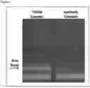Fig. 17 - MISPRIMING PREVENTION REAGENTS