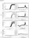 Fig. 19 - MISPRIMING PREVENTION REAGENTS