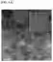 Fig. 08 - GLUCOSE DETECTING COMPLEX AND CONTACT LENS-TYPE SENSOR COMPRISING SAME FOR DETECTING GLUCOSE IN TEARS