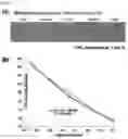 Fig. 14 - GLUCOSE DETECTING COMPLEX AND CONTACT LENS-TYPE SENSOR COMPRISING SAME FOR DETECTING GLUCOSE IN TEARS