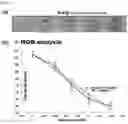 Fig. 19 - GLUCOSE DETECTING COMPLEX AND CONTACT LENS-TYPE SENSOR COMPRISING SAME FOR DETECTING GLUCOSE IN TEARS