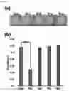 Fig. 22 - GLUCOSE DETECTING COMPLEX AND CONTACT LENS-TYPE SENSOR COMPRISING SAME FOR DETECTING GLUCOSE IN TEARS