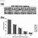 Fig. 28 - GLUCOSE DETECTING COMPLEX AND CONTACT LENS-TYPE SENSOR COMPRISING SAME FOR DETECTING GLUCOSE IN TEARS