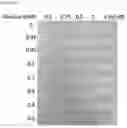 Fig. 31 - GLUCOSE DETECTING COMPLEX AND CONTACT LENS-TYPE SENSOR COMPRISING SAME FOR DETECTING GLUCOSE IN TEARS