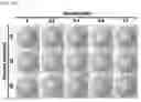 Fig. 37 - GLUCOSE DETECTING COMPLEX AND CONTACT LENS-TYPE SENSOR COMPRISING SAME FOR DETECTING GLUCOSE IN TEARS