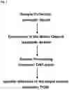 Fig. 02 - Detection method and device