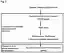 Fig. 03 - Detection method and device
