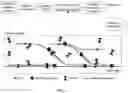 Fig. 02 - Method for highly sensitive DNA methylation analysis