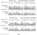 Fig. 04 - Method for highly sensitive DNA methylation analysis