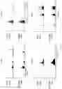 Fig. 07 - Method for highly sensitive DNA methylation analysis