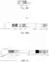 Fig. 17 - Methods, systems, computer readable media, and kits for sample identification