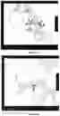 Fig. 03 - Editing profiling of PDE8A pre-mRNA: use as specific biomarker of ADARs activities in human tissues to diagnose and to predict and assess therapeutic efficacy and/or efficiency or potential drug side effects