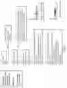 Fig. 02 - HIGHLY SENSITIVE SURVEILLANCE USING DETECTION OF CELL FREE DNA