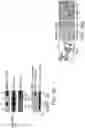 Fig. 25 - Methods of treating cancers containing fusion genes