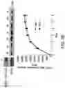 Fig. 45 - Methods of treating cancers containing fusion genes