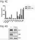 Fig. 08 - RNA profiling for individualized diet and treatment advice.