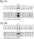 Fig. 09 - RNA profiling for individualized diet and treatment advice.