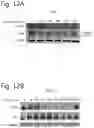 Fig. 17 - RNA profiling for individualized diet and treatment advice.