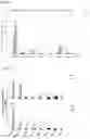 Fig. 05 - COMPOSITIONS AND METHODS FOR THE DETECTION AND TREATMENT OF CERVICAL CANCER AND CERVICAL INTRAEPITHELIAL NEOPLASIA