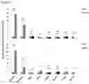 Fig. 06 - COMPOSITIONS AND METHODS FOR THE DETECTION AND TREATMENT OF CERVICAL CANCER AND CERVICAL INTRAEPITHELIAL NEOPLASIA
