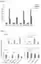 Fig. 07 - COMPOSITIONS AND METHODS FOR THE DETECTION AND TREATMENT OF CERVICAL CANCER AND CERVICAL INTRAEPITHELIAL NEOPLASIA