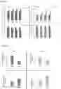 Fig. 08 - COMPOSITIONS AND METHODS FOR THE DETECTION AND TREATMENT OF CERVICAL CANCER AND CERVICAL INTRAEPITHELIAL NEOPLASIA