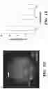 Fig. 05 - DETECTION OF MET AMPLIFICATION TO PREDICT RESPONSIVENESS OF CANCER TO DRUGS
