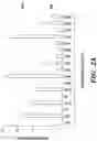 Fig. 06 - DETECTION OF MET AMPLIFICATION TO PREDICT RESPONSIVENESS OF CANCER TO DRUGS