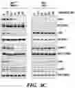 Fig. 09 - DETECTION OF MET AMPLIFICATION TO PREDICT RESPONSIVENESS OF CANCER TO DRUGS