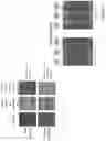 Fig. 08 - Liquid based selection and cell isolation